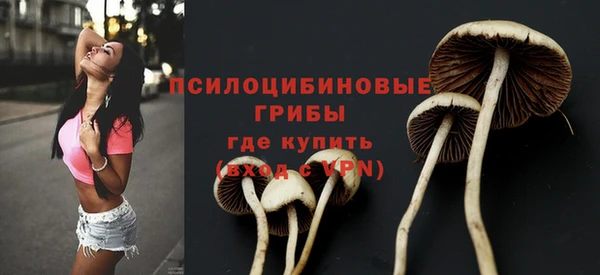 мет Гусиноозёрск