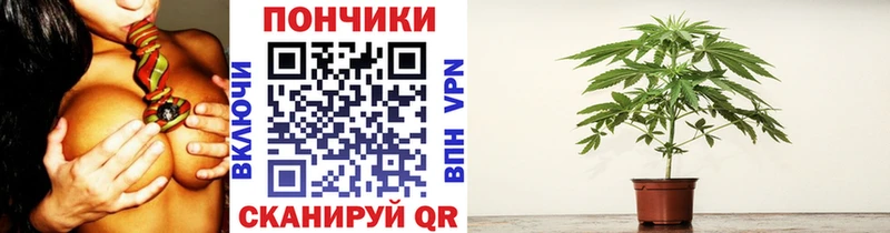 Шишки марихуана MAZAR  где найти   Нахабино 
